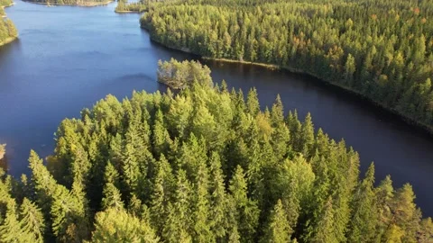 Forest Lakes View Scenic Lanscape Drone 4K 4 Vídeo Stock 252195983