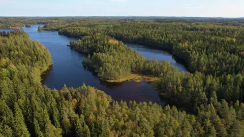 Forest Lakes View Scenic Lanscape Drone 4K Vídeo Stock 252196875