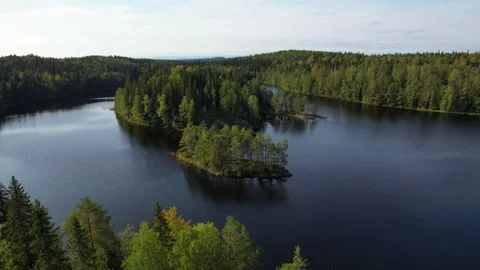 Forest Lakes View Scenic Lanscape Drone 4K 3 Vídeo Stock 252196930