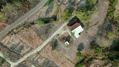 Forest Land Clearing Aerial View Stock Footage 345861577