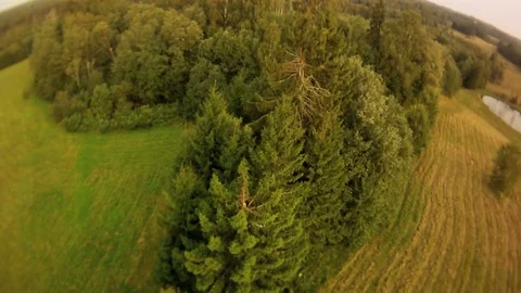Forest landscape aerial view Stock Footage 70952951