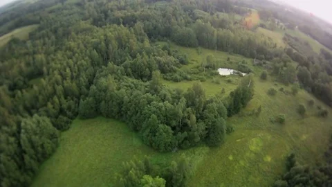 Forest landscape aerial view Video stock 71959858