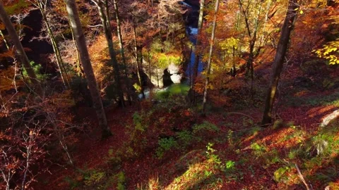 Forest Landscape Aerials: Descent to River with Rock Formations Stockbeeldmateriaal 276199697
