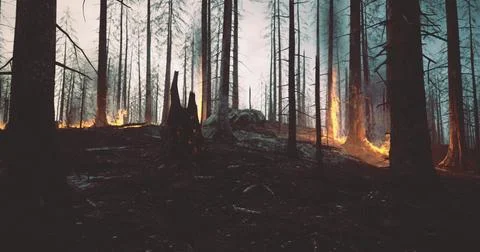 Forest landscape affected by wildfire with burning trees and smoke Stock Illustration