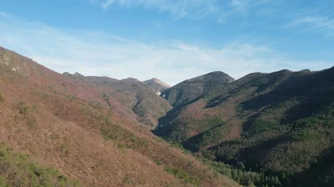 Forest landscape in autumn Stock Footage 274027341