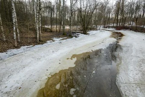 Forest landscape with bare trees and peat river Stock Photos