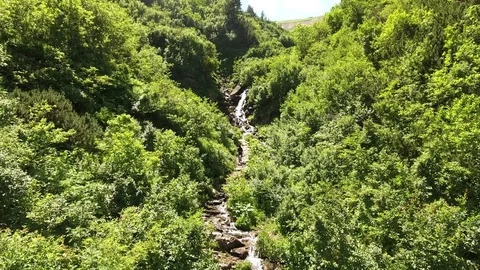 Forest landscape with a beautiful waterfall on a mountain river creek Cascades Stock Footage 82746416