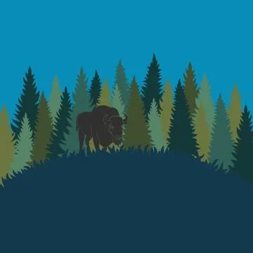 Forest landscape with bison and forest of fir trees. Vector color background. Stock Illustration