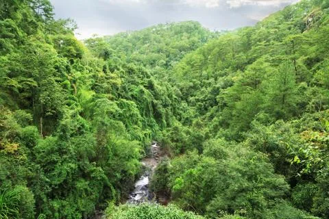 Forest landscape with Datanla waterfall Фото