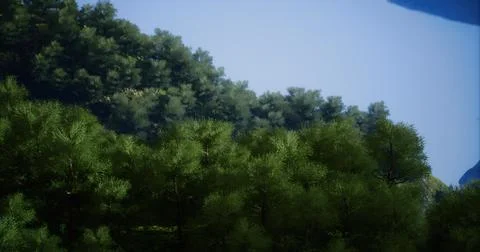 Forest landscape with dense trees and mountain backdrop during daylight Stock Illustration