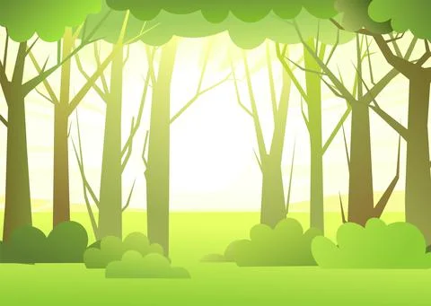 Forest landscape. Dense wild trees with tall, branched trunks. Sunrise. Summe Stock Illustration