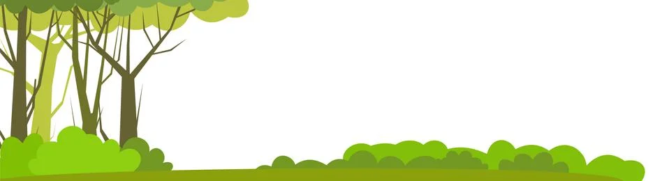 Forest landscape. Dense wild trees with tall, branched trunks. Summer green l Stock Illustration