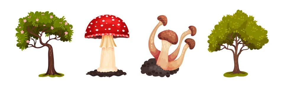 Forest Landscape Elements with Tree and Mushroom Vector Set Stock Illustration