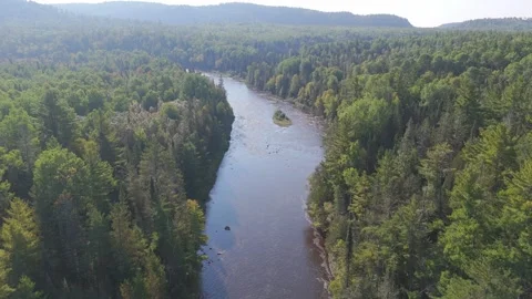 Forest landscape fly over river Minnesota BWCA 스톡 동영상 318873265