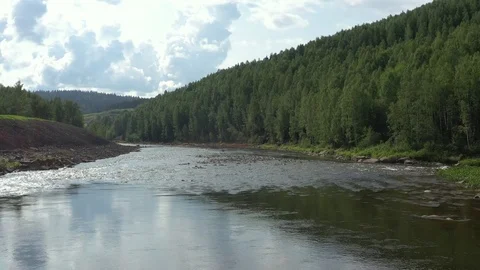 Forest landscape flying over flowing water, forest Stock Footage 120239671
