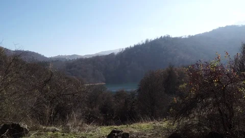 Forest landscape Stock Footage 82476122