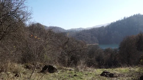 Forest landscape Stock Footage 82476134