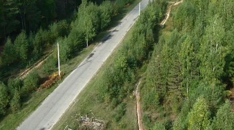 Forest landscape from a height Stock Footage 48013362