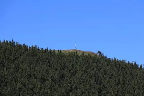 Forest landscape with hill Stock Photos