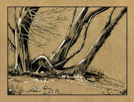 Forest landscape. Impenetrable dense forest, ink drawing. Stock Illustration