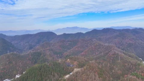 Forest Landscape Mountain View Beautiful View 4k Aerial Stock Footage 320377054