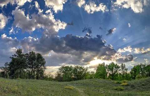 Forest landscape. old forest. trees against the sky. natural landscape. sunse Stock Photos