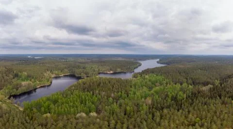 Forest landscape Foto stock