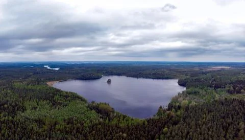 Forest landscape Stock Photos