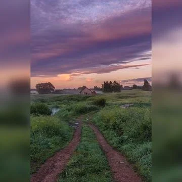 Forest landscape Stock Photos