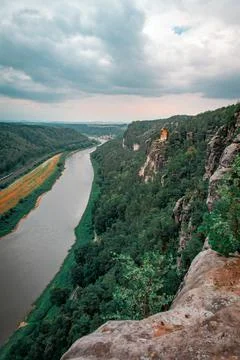 The forest landscape 스톡 사진