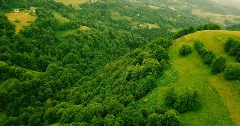 Forest landscape in the Pyrenees from above Stock Footage 93000764