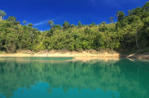 Forest landscape with a reflection in the lake Foto stock