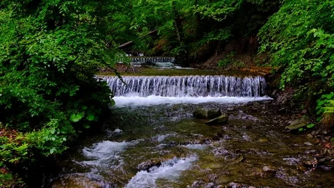 Forest landscape with a running stream, mountain river and rocks. Stock Footage 91926563