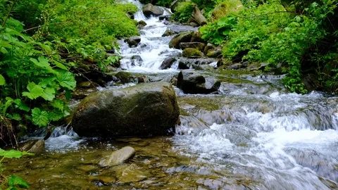 Forest landscape with a running stream, mountain river and rocks. Stock Footage 91926573