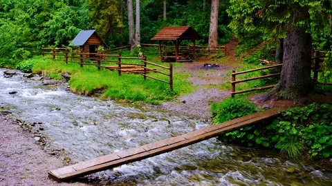 Forest landscape with a running stream, mountain river and rocks. Stock Footage 91926582