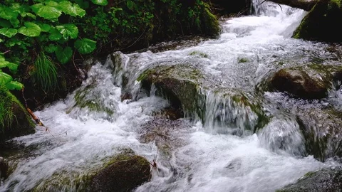 Forest landscape with a running stream, mountain river and rocks. Stock Footage 91926753