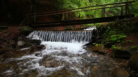 Forest landscape with a running stream, mountain river and rocks. Stock Footage 91926820