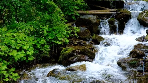 Forest landscape with a running stream, mountain river and rocks. Stock Footage 91928243