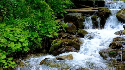 Forest landscape with a running stream, mountain river and rocks. Stock Footage 91929199