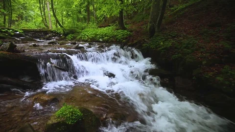 Forest landscape with a running stream, mountain river and rocks. Stock Footage 91929456