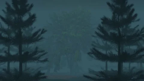 Forest landscape scenery with trees movement due to wind and heavy foggy. Stock Footage 155503874