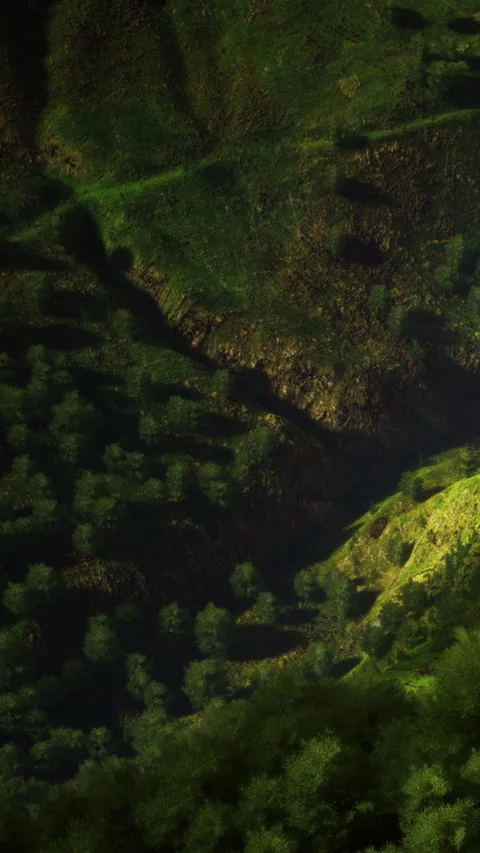 Forest landscape showing trees and hills in a natural setting Stock Footage 346758956