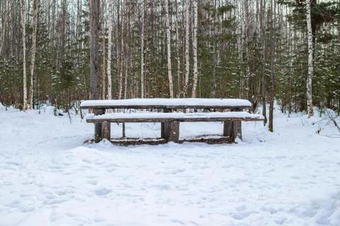 Forest landscape. Snow-covered table and benches in the winter forest. Stock Photos