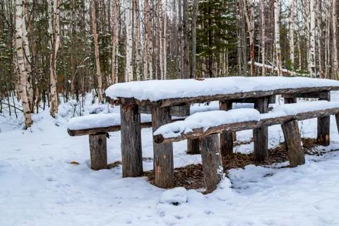 Forest landscape. Snow-covered table and benches in the winter forest. Stock Photos