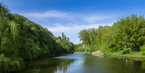 Forest landscape in spring Stock Photos