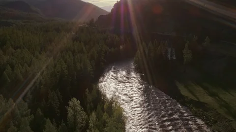 Forest landscape sun rays over the river cinematic footage, aerial photography Stock Footage 123854265