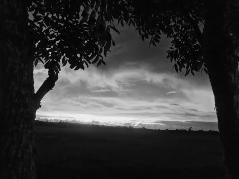 Forest landscape Sunset Stock Photos