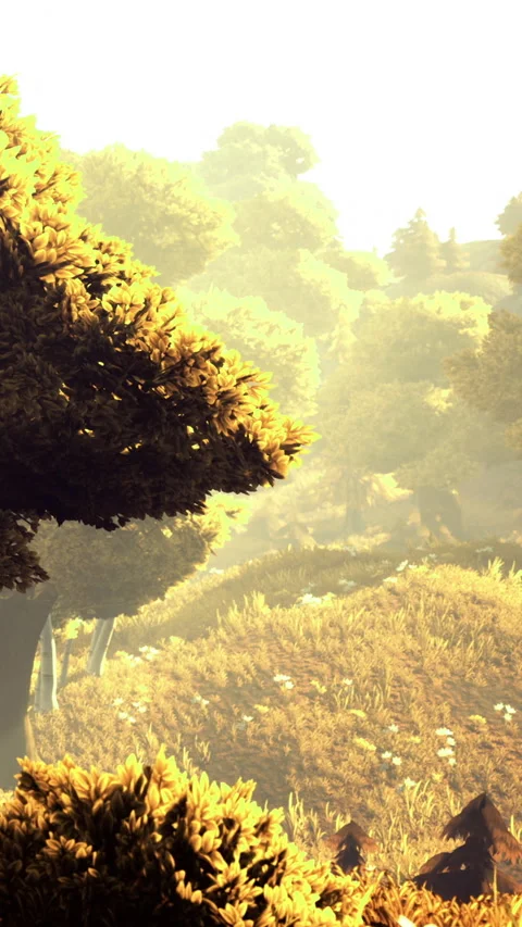 Forest landscape with trees and bushes in sunlight at morning time 库存影片 334889733