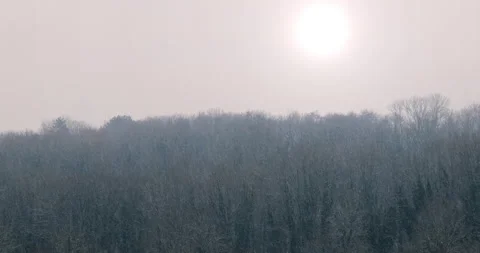 Forest landscape under the snow. bright sun above a forest in winter Stock Footage 321910977