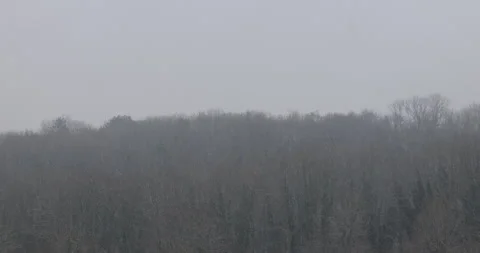 Forest landscape under the snow. hilly forest landscape in snowy weather Stock-Footage 316993642